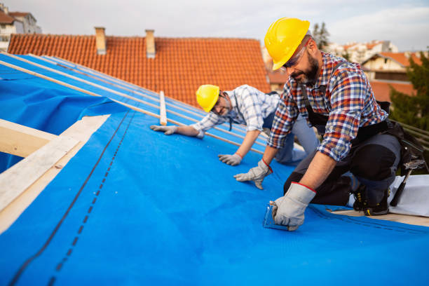 4 Ply Roofing in Plano, TX